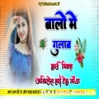 Balo Main Gulab Laga Lijiye Neelkamal Singh Hard Dholki Remix Dj Akhilesh Hi Tech Gonda 